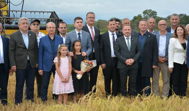 Başkan Serdal Sefa Kocabaş, Alaçam’da Çeltik Hasadına Katıldı