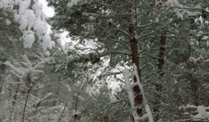 YEDAŞ ekipleri canı pahasına  mücadele etti, enerjisiz bırakmadı