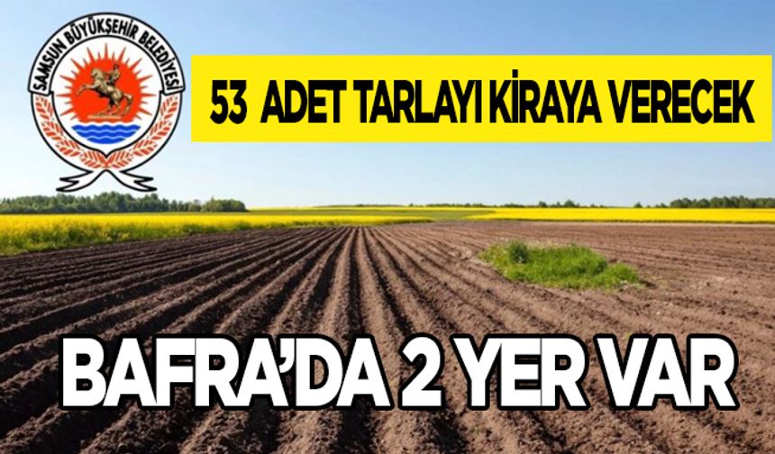 Samsun Büyükşehir Belediyesi 53 adet tarlayı kiraya verecek