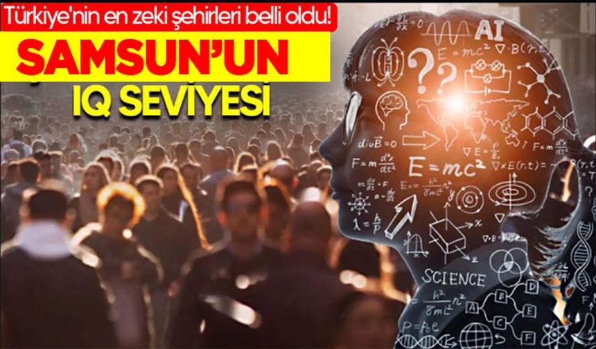 81 ilde yapılan araştırmaya göre Türkiye'nin en zeki şehirleri belli oldu.