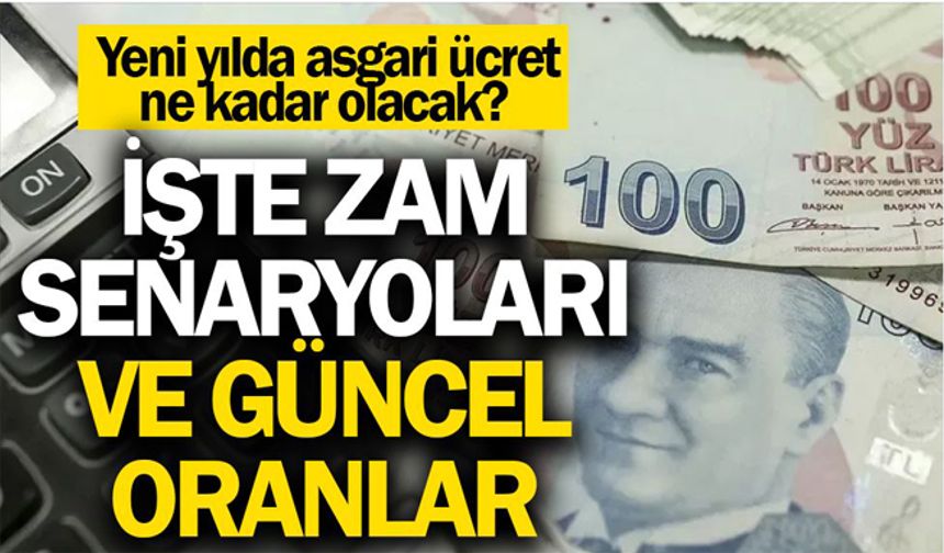 Yeni yılda asgari ücret ne kadar olacak? İşte zam senaryoları ve güncel oranlar