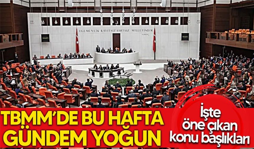 TBMM'de gündem yoğun! İşte öne çıkan başlıklar