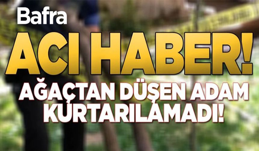 Bafra'da ağaçtan düşen kişi hayatını keybetti