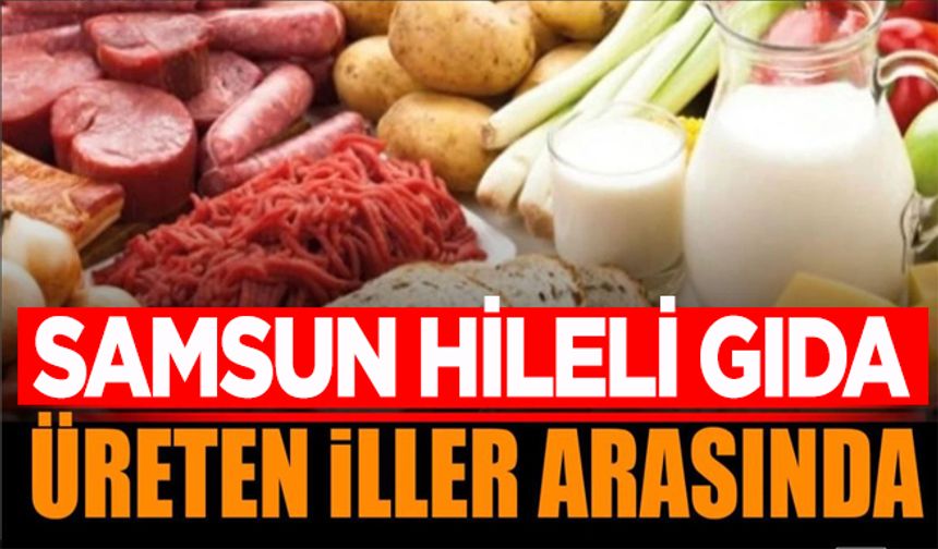 Samsun Hileli Gıda Üreten İller Arasında