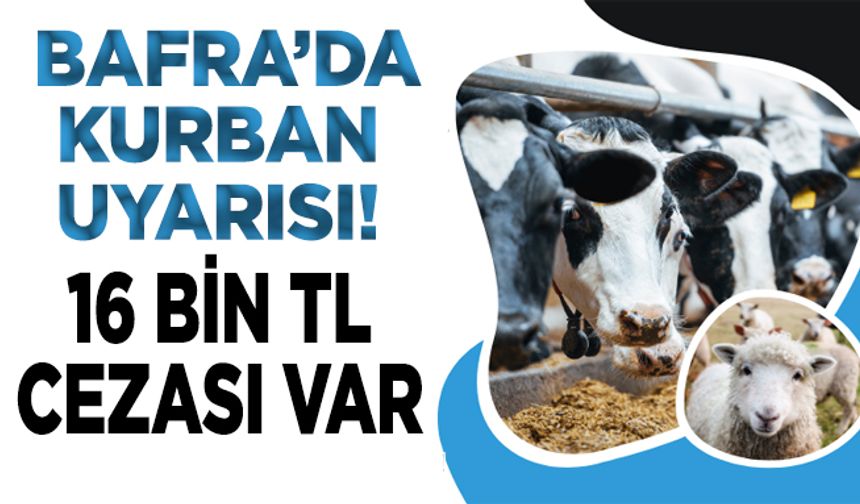Bafra’da Kurban Uyarısı! Sokakta Kesene 16 Bin TL Ceza