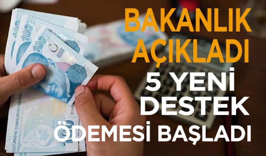 Bakanlık açıkladı: 5 yeni destek ödemesi başladı!