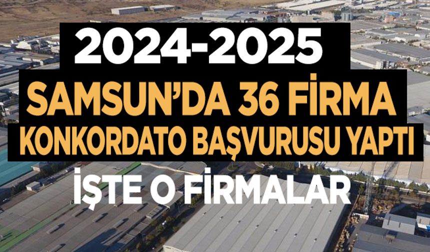Samsun'da 36 firma konkordato başvurusu yaptı! İşte o firmalar