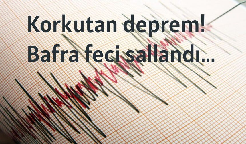 Korkutan deprem! Bafra feci sallandı...