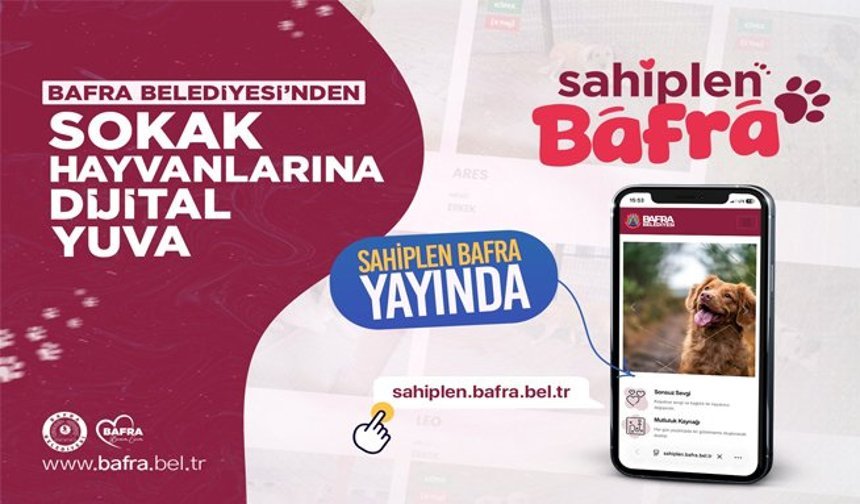 Bafra Belediyesi’nden Sokak Hayvanlarına Dijital Yuva